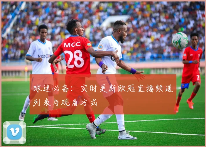 球迷必备：实时更新欧冠直播频道列表与观看方式