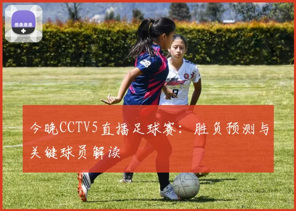 今晚CCTV5直播足球赛：胜负预测与关键球员解读